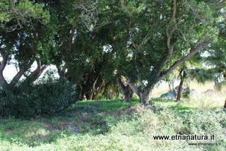 rme santa Venera04-12-2022 11-03-36